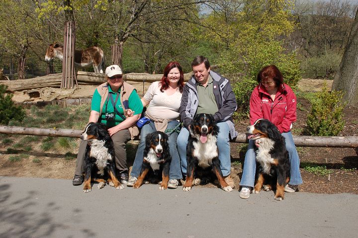 img00081.jpg