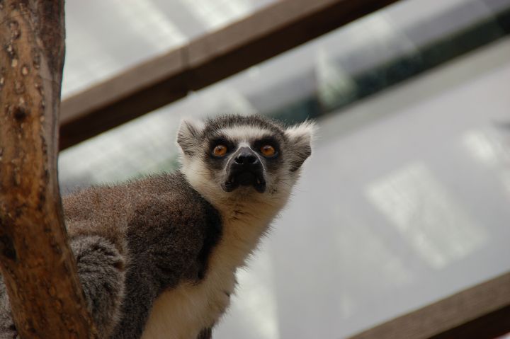 img00089.jpg