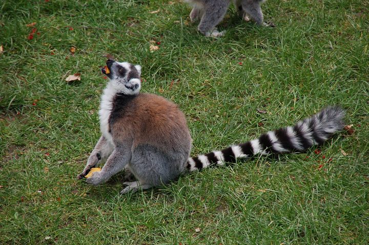 img00090.jpg