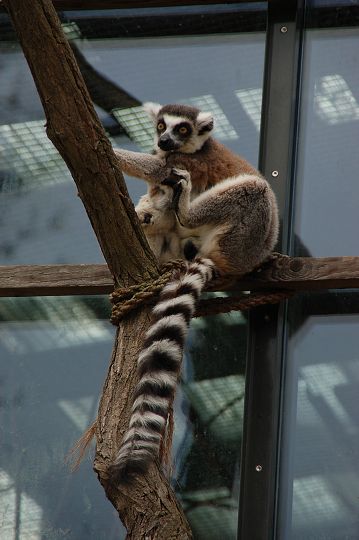 img00092.jpg