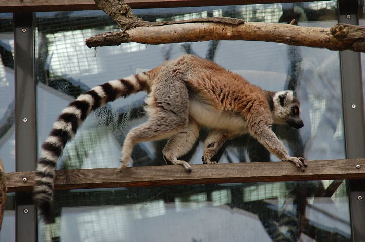img00093.jpg