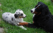 Kira a Brixie