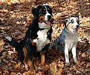 Kira a Brixie