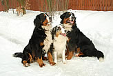 Beruka, Brixie, Kira